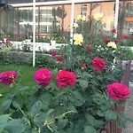 Hotel Olymp Sunny Beach
