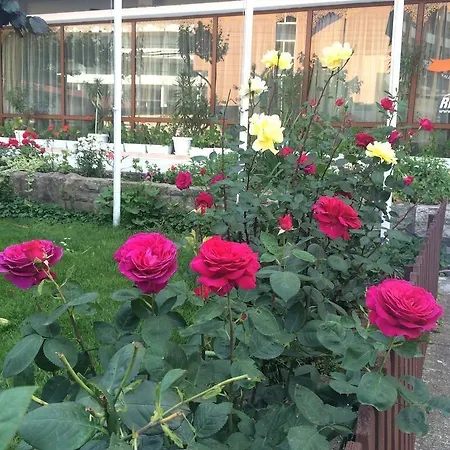 Hotel Olymp Sunny Beach